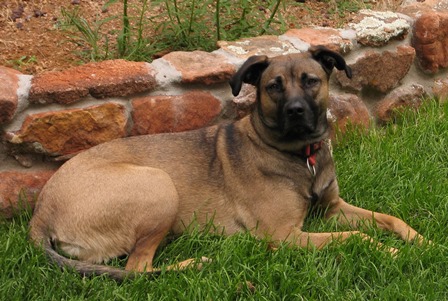 lola2