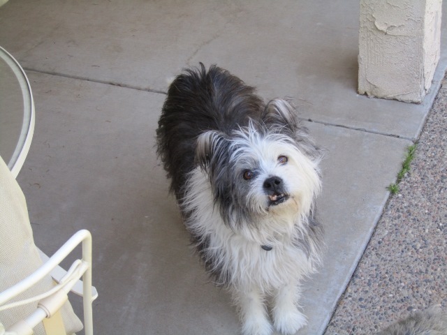 quincy2