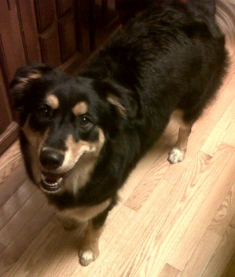 roxie1
