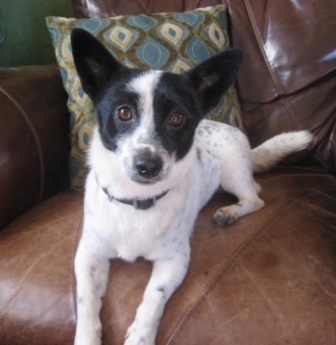 WALTER1