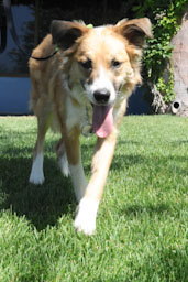 Zak update 1