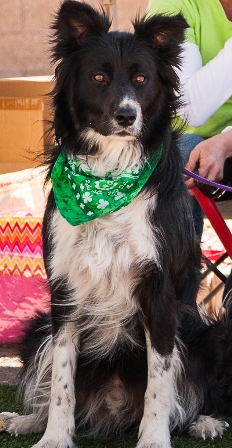 duffy1