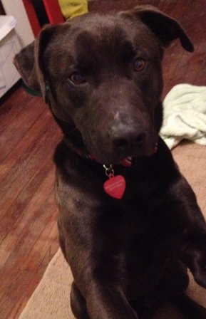 duke1