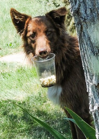 finnegan1