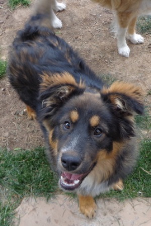 gus1
