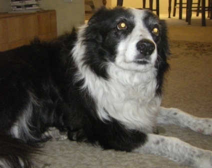 maggiemay1