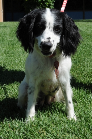 riley1