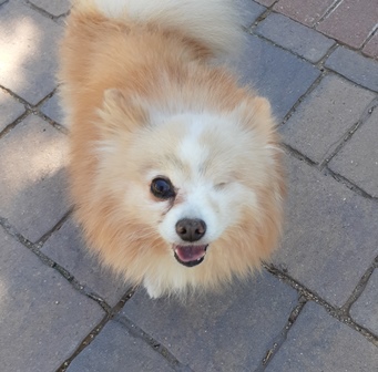 rukus1