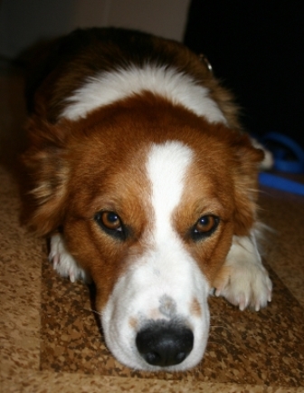tucker1