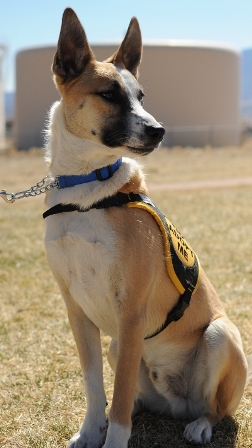 zeke1